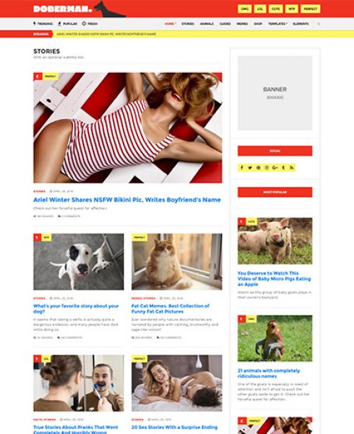 CSS Igniter Doberman WordPress Theme