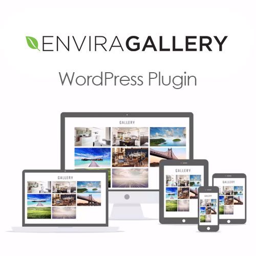 Envira Gallery with all 28 Addons