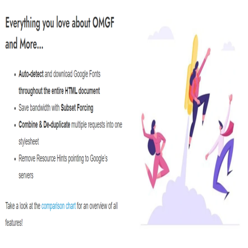 OMGF Pro 3.0.2 - Host Google Fonts Locally for WordPress
