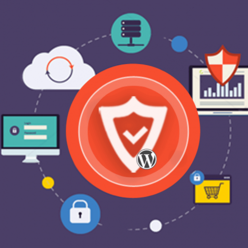 WP Hide & Security Enhancer PRO 4.8.2