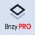 Brizy Pro WordPress Plugin 2.4.16