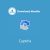 Download Monitor Captcha 4.2.0