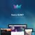 Salient 15.0.7 – The Ultimate Multipurpose Theme